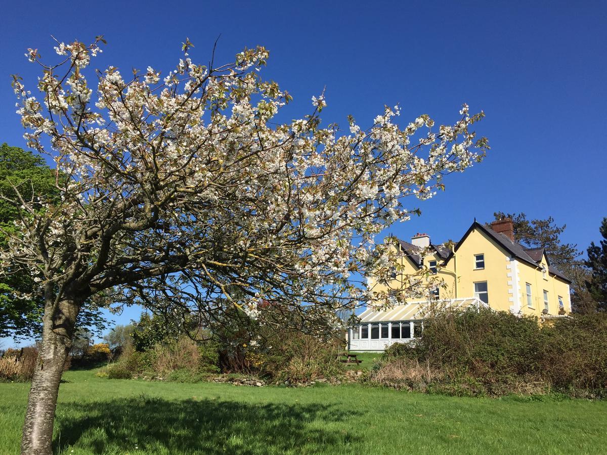 Bryn Eisteddfod B&B Clynnog-fawr Exterior foto